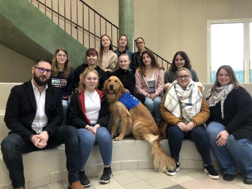 Handi'chiens travaille avec les lycées français
